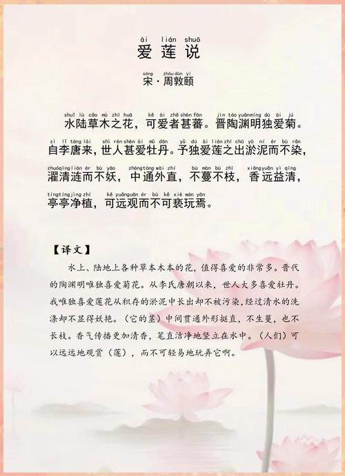 咏莲名句千古传,诗心何处觅清莲?