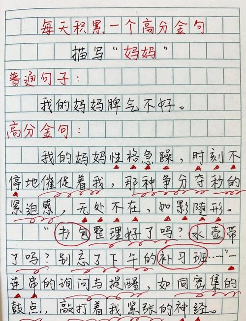 《大声说不》作文