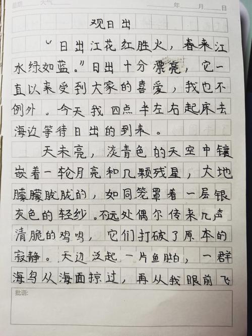 三年级观日出阅读答案