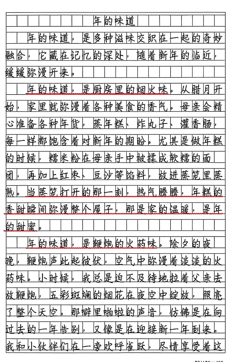 初中寒假作文素材