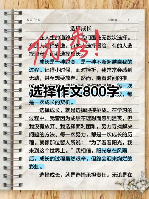 不同选择，如何影响人生轨迹？