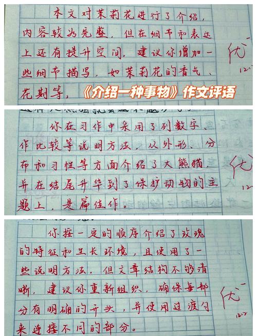 北师大五年级作文