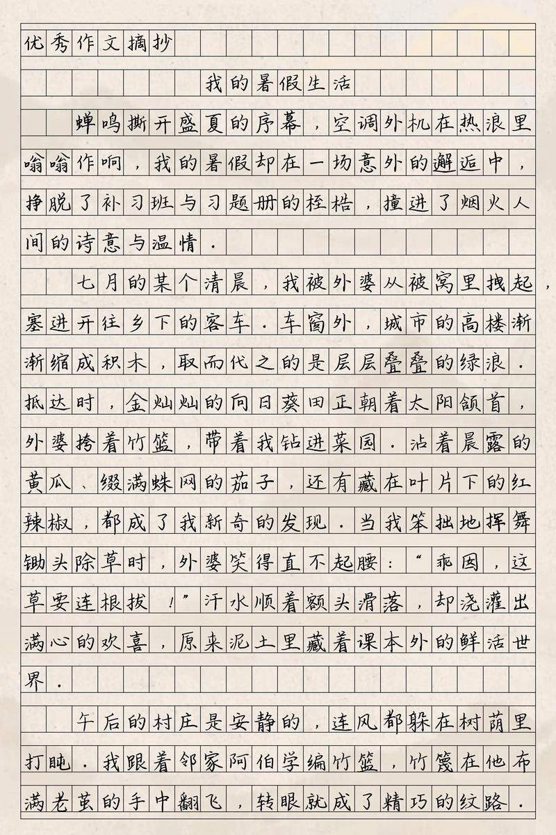 我的暑假生活，为何总被作业填满？