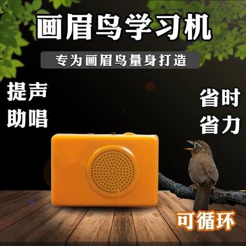 画眉鸟阅读答案三年级，画眉鸟为何会学人说话？