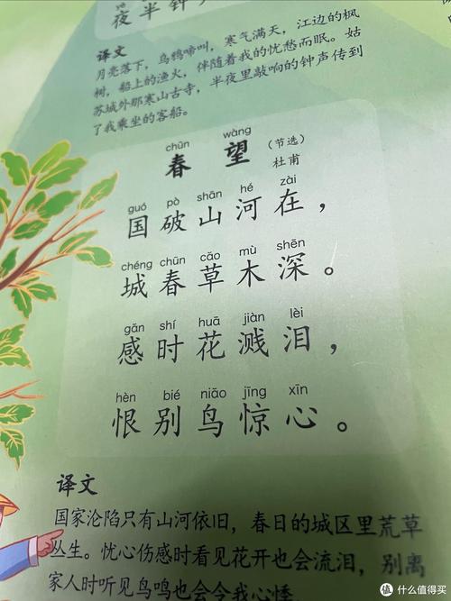 春望古诗如何传递家国情怀与个人悲愁?