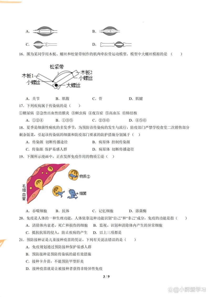 八年级上生物期中试卷重点难点解析？