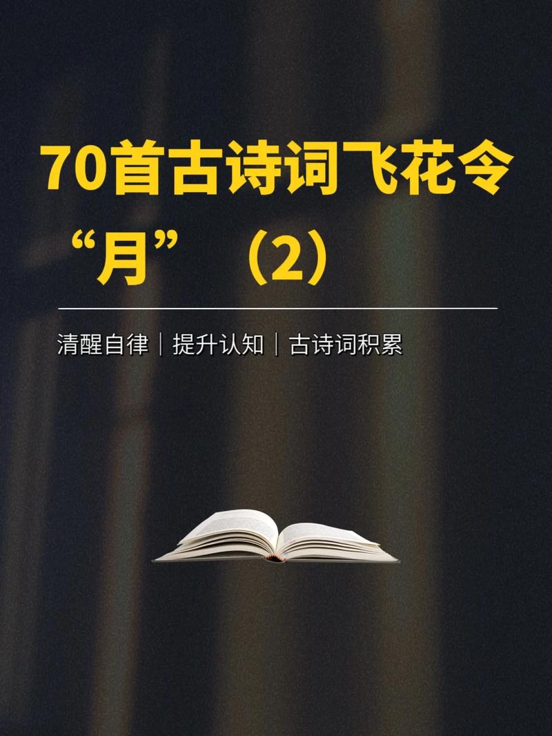 初中古诗词里，月究竟藏着多少情思？