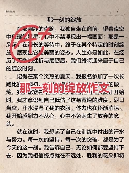 那一刻,我经历了什么?