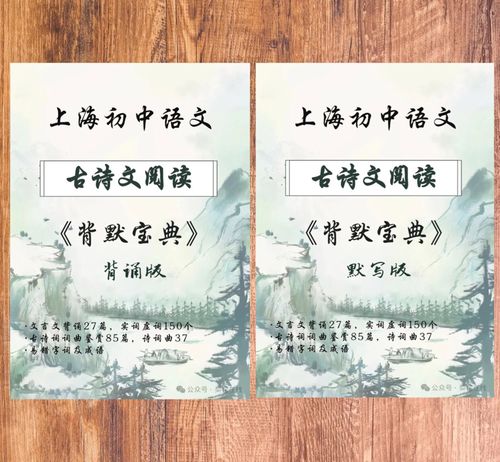 沪教版中考古诗考点有哪些？