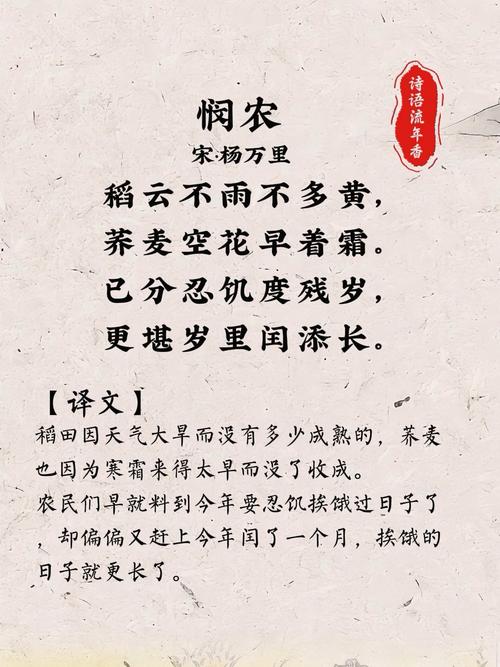 悯农古诗6年级语文，如何体会农民辛苦？