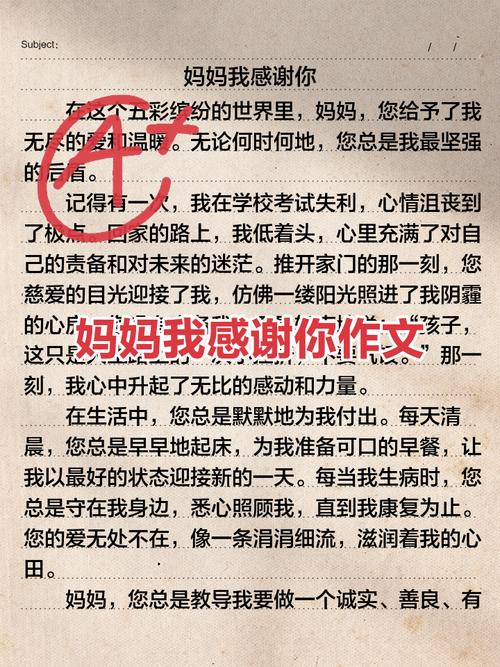 小学作文感恩母亲