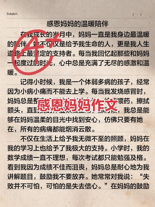 小学作文感恩母亲