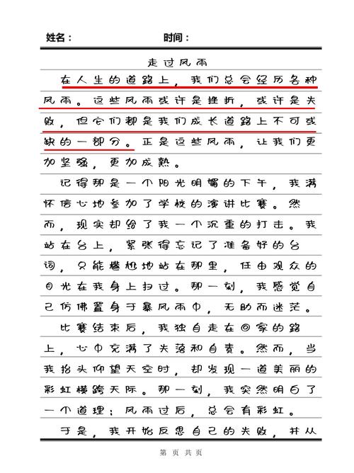 《冲过风雨》作文