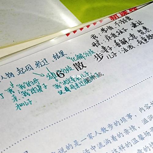 散步中为何选择散步这一日常小事？