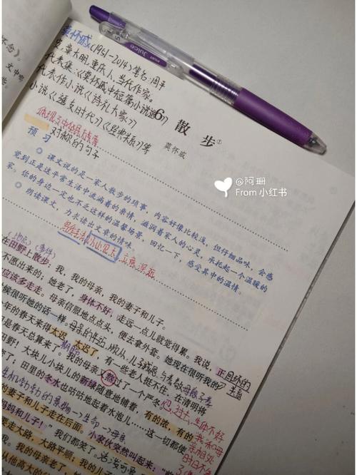 散步中为何选择散步这一日常小事？