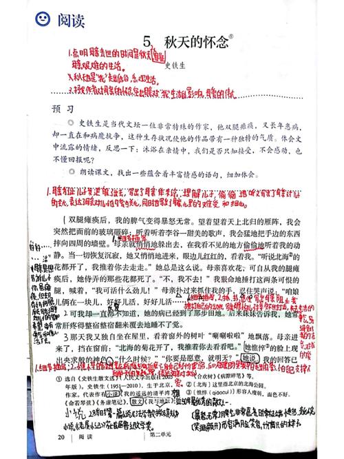 秋天的怀念为何让七年级学生难忘？