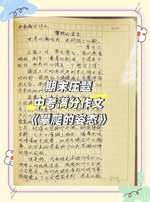 如何精准点评作文？关键点与技巧有哪些？