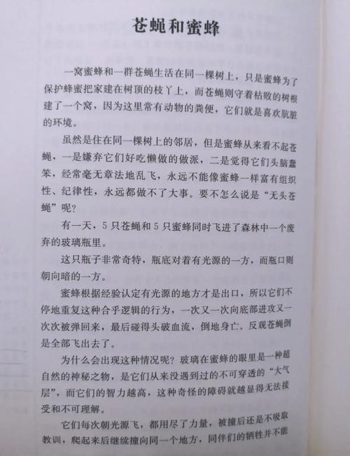 蜜蜂与苍蝇的作文，二者差异何在？