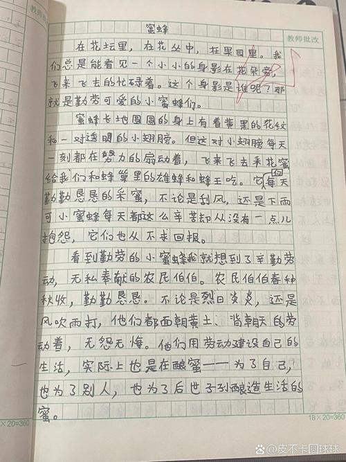 蜜蜂与苍蝇的作文，二者差异何在？