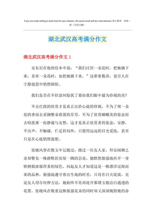 2011湖北作文题为何引发热议？