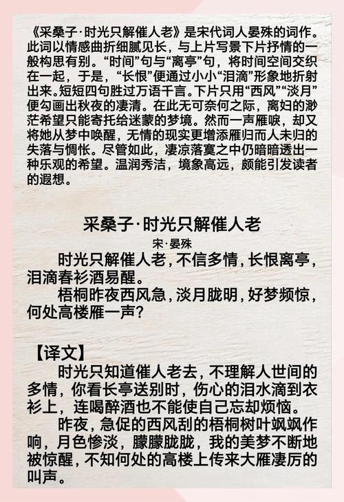 采桑子·重阳诗中蕴含何种深意？