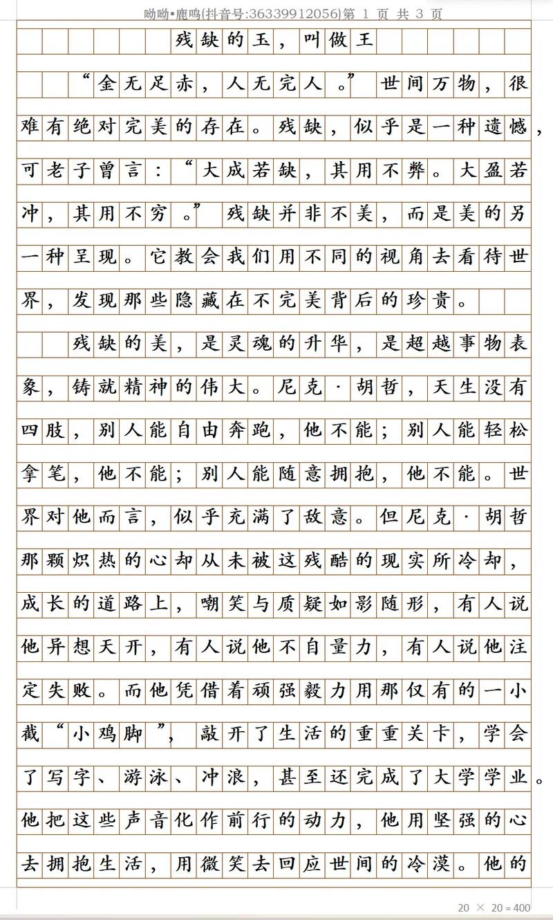 2004作文题究竟是什么？