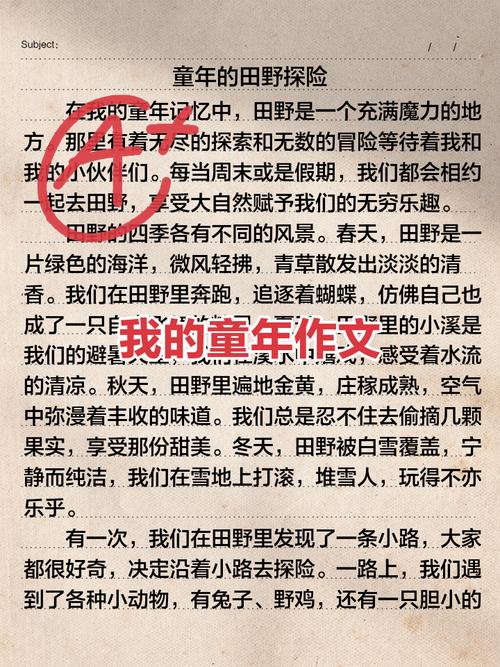 作文初中我的童年