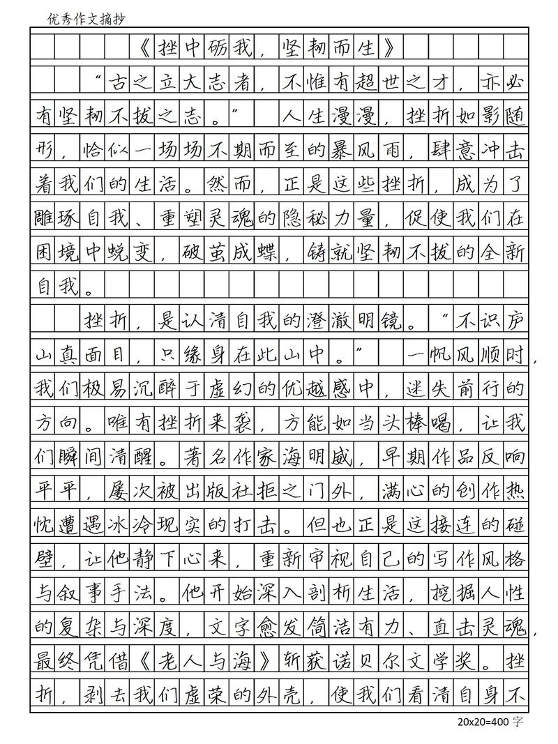 作文《修炼挫商》