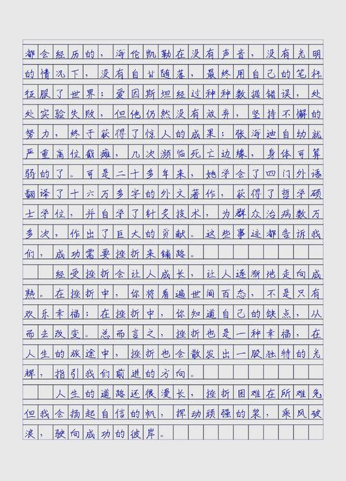 作文《修炼挫商》