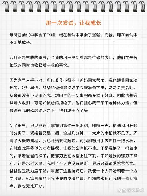 八年级上语文期末作文如何写高分？