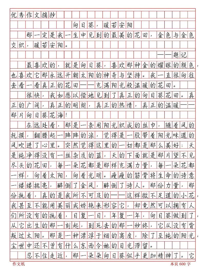 作文如何快速写出彩?