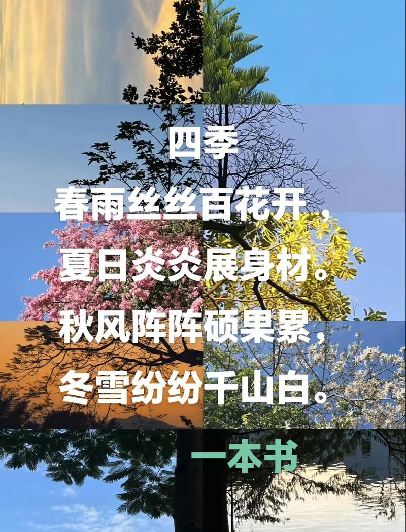 初中古诗中四季景色如何妙笔生花？