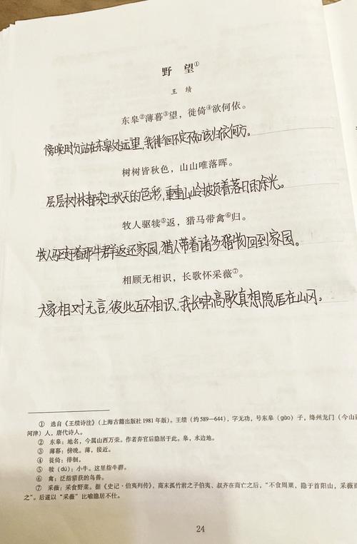 黄鹤楼诗中藏了什么千古之谜?