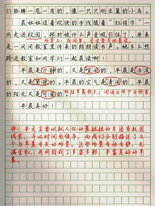 早晨的作文800藏着怎样的晨光与心事？