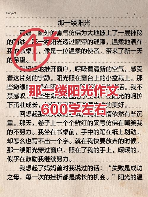 初一作文阳光如何写出阳光的温暖？