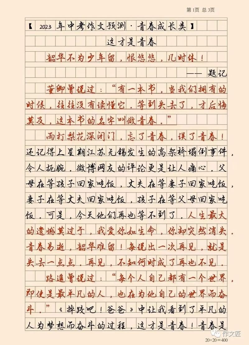 这就是青春的作文