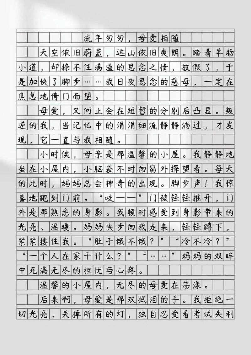 时光匆匆 的作文