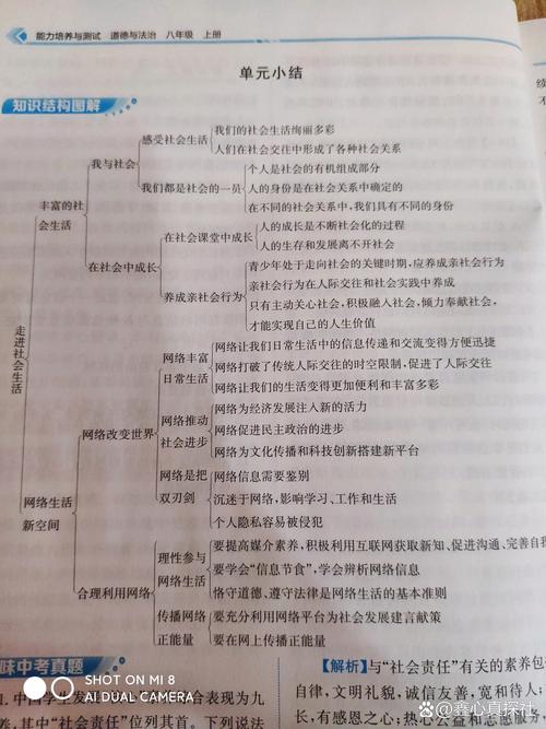 八年级政治上册知识点