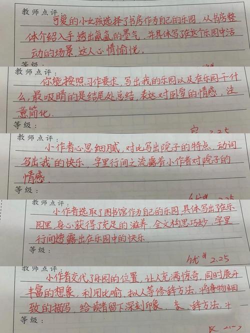600字作文带评语,亮点与不足在哪?