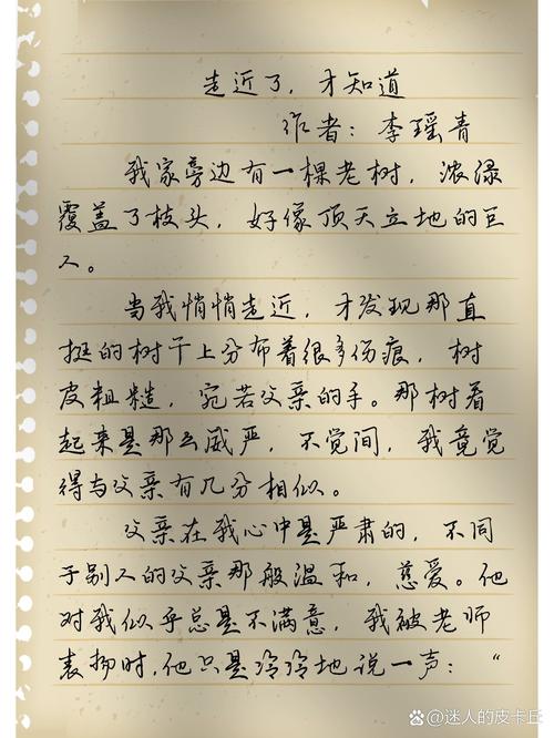 走近后,作文中的真相究竟是什么?