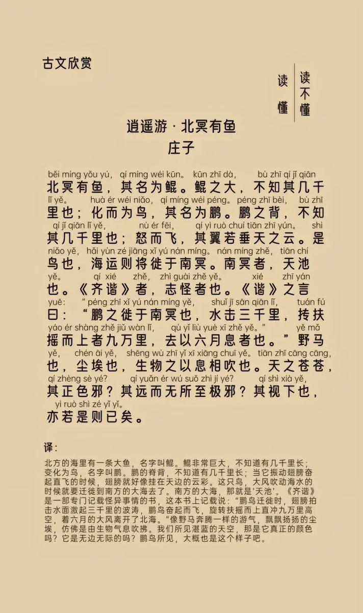 庄子中学必背古诗词有哪些？