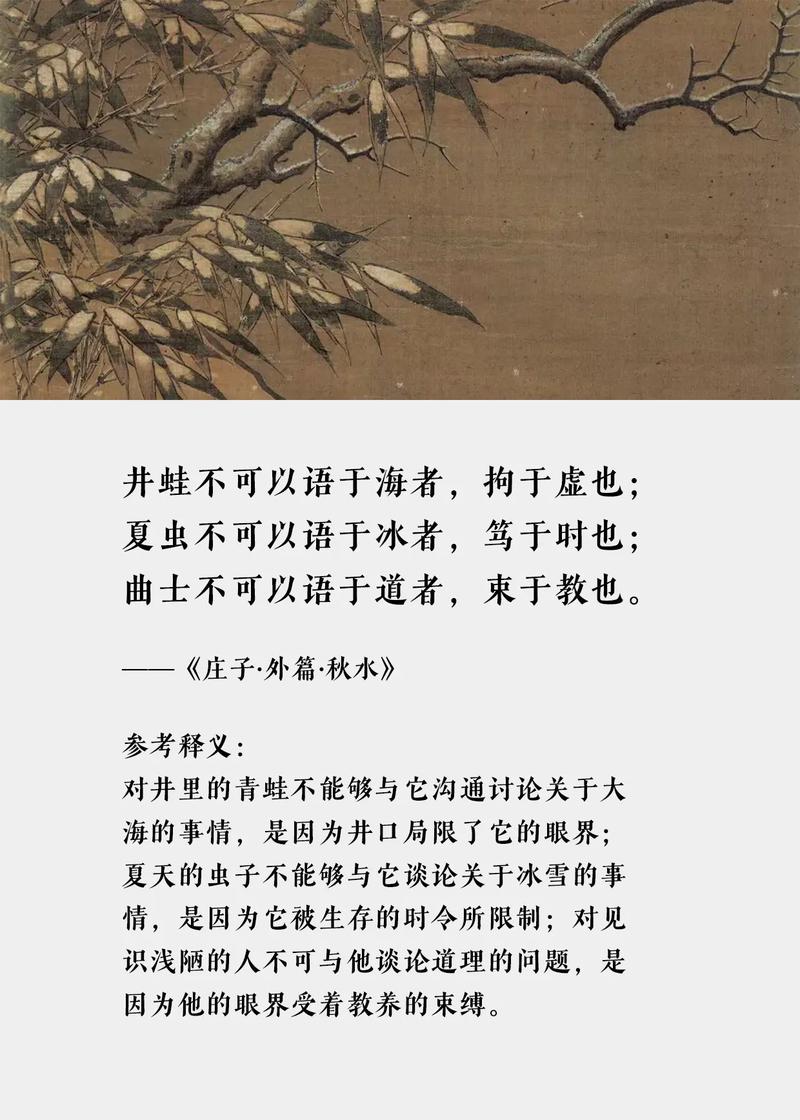 庄子中学必背古诗词有哪些？