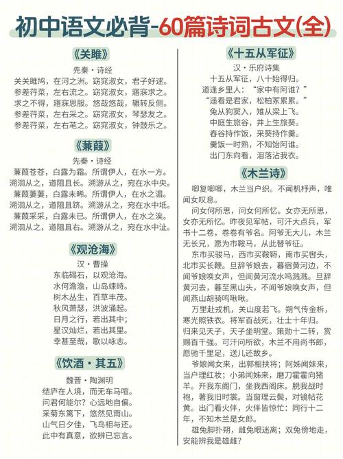 中考语文古诗文背写有何高效记忆法?