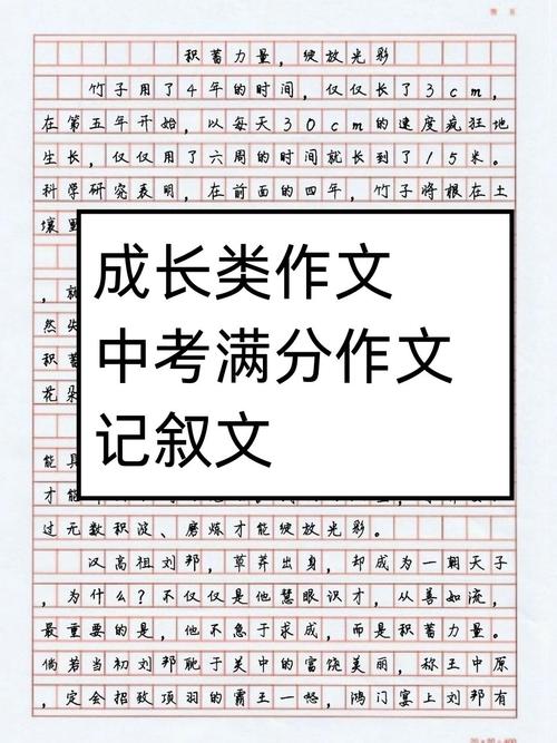 满分中考作文叙事
