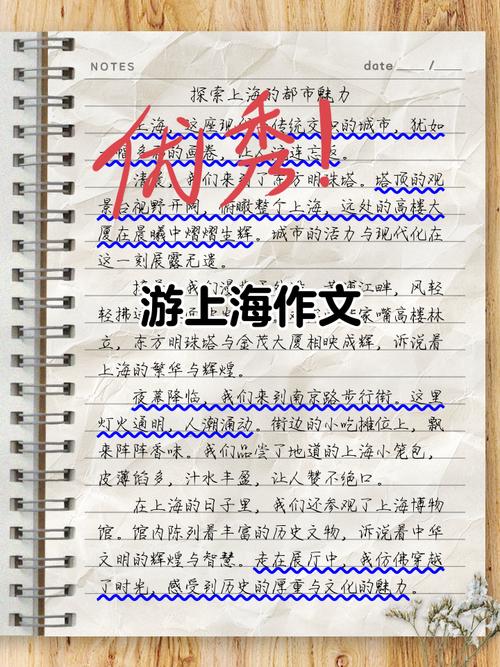 2011上海作文题为何引发热议？