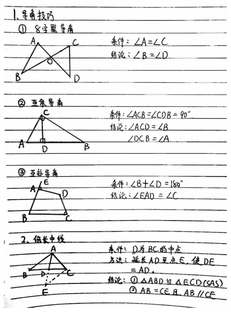 八年级数学上册三角形
