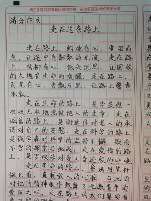 初三 路 的作文