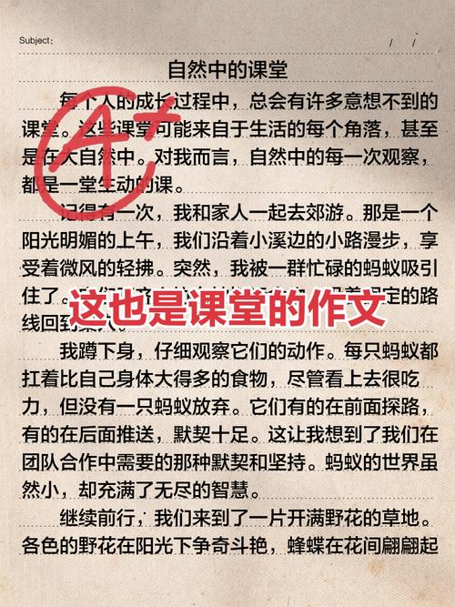 什么是课堂的作文