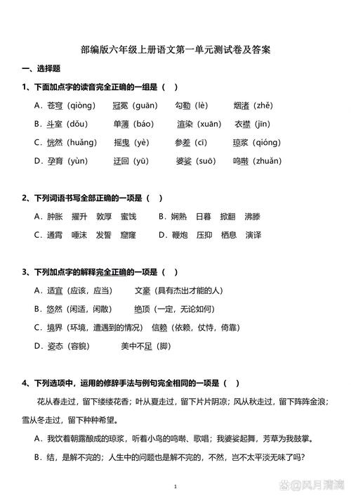 六年级语文题目及答案